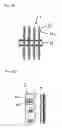 Fig. 18 - Heat exchanger for air and freezer device