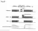 Fig. 34 - Heat exchanger for air and freezer device