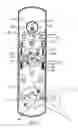 Fig. 06 - Door lock transmission mechanism