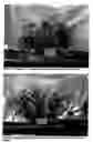 Fig. 10 - Method of sustaining plant growth in hazardous substrates, limiting the mobility of substrate contaminants, and beneficiation of normal soils
