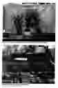 Fig. 11 - Method of sustaining plant growth in hazardous substrates, limiting the mobility of substrate contaminants, and beneficiation of normal soils