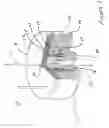 Fig. 02 - In-flight thermal control of droplets