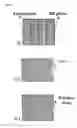 Fig. 02 - Method of preparing polymer composite using unidirectionally solidified giant magnetostrictive material