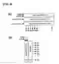 Fig. 09 - Driving method of light emitting device