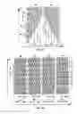 Fig. 03 - Compound phase encoding for printed servo patterns