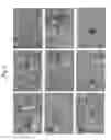 Fig. 07 - Attenuated vaccines