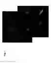 Fig. 02 - Methods of identifying dermal papilla cells