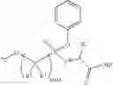 Fig. 111 - Nucleoside phosphonate analogs