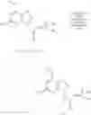 Fig. 159 - Nucleoside phosphonate analogs