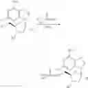Fig. 171 - Nucleoside phosphonate analogs