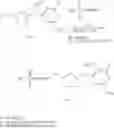 Fig. 206 - Nucleoside phosphonate analogs