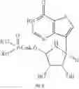 Fig. 227 - Nucleoside phosphonate analogs