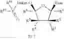 Fig. 278 - Nucleoside phosphonate analogs