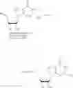 Fig. 282 - Nucleoside phosphonate analogs