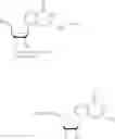 Fig. 303 - Nucleoside phosphonate analogs