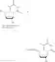 Fig. 308 - Nucleoside phosphonate analogs