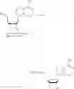 Fig. 310 - Nucleoside phosphonate analogs