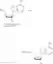 Fig. 315 - Nucleoside phosphonate analogs
