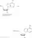 Fig. 319 - Nucleoside phosphonate analogs