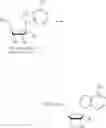 Fig. 322 - Nucleoside phosphonate analogs