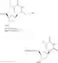 Fig. 343 - Nucleoside phosphonate analogs