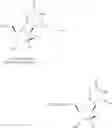 Fig. 345 - Nucleoside phosphonate analogs