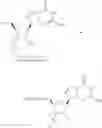 Fig. 349 - Nucleoside phosphonate analogs