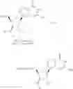 Fig. 351 - Nucleoside phosphonate analogs
