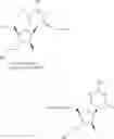 Fig. 357 - Nucleoside phosphonate analogs