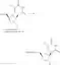 Fig. 358 - Nucleoside phosphonate analogs