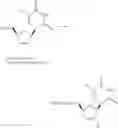 Fig. 359 - Nucleoside phosphonate analogs