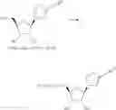 Fig. 362 - Nucleoside phosphonate analogs