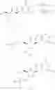 Fig. 367 - Nucleoside phosphonate analogs