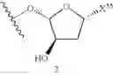 Fig. 372 - Nucleoside phosphonate analogs