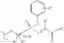 Fig. 93 - Nucleoside phosphonate analogs