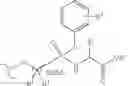 Fig. 94 - Nucleoside phosphonate analogs