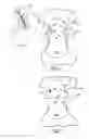 Fig. 05 - Absorbent article having a fit guide