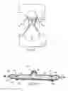 Fig. 11 - Absorbent article having a fit guide