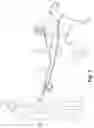 Fig. 02 - Double leash coupler