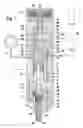 Fig. 02 - Fuel injector with multistage control valve for internal combustion engines