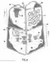 Fig. 07 - Vertically stacked collapsible structures
