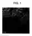 Fig. 02 - Selective adsorbent material and its use