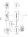 Fig. 02 - Image-capturing apparatus and camera-shake compensation mechanism