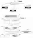 Fig. 02 - Neighbor discovery in cable networks