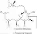 Fig. 02 - Protected 3,5-dihydroxy-2,2-dimethyl-valeronitriles for the synthesis of epothilones and epothilone derivatives and process for the production