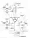Fig. 01 - Continuous liquid stream blender