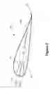 Fig. 06 - Method and apparatus for measuring an ambient water velocity near a deflector device