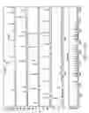 Fig. 20 - Petal-array support for use with microplates
