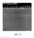 Fig. 23 - Petal-array support for use with microplates