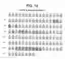 Fig. 11 - Compositions and methods for treating inflammatory disorders